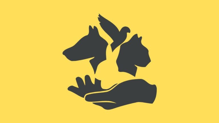 Scopri il tuo lato nascosto con questo test visivo